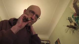 Hang Myself From The Tree (The Vandals), Ukulele Cover