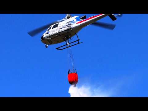 Dusty Kid - Serpentara