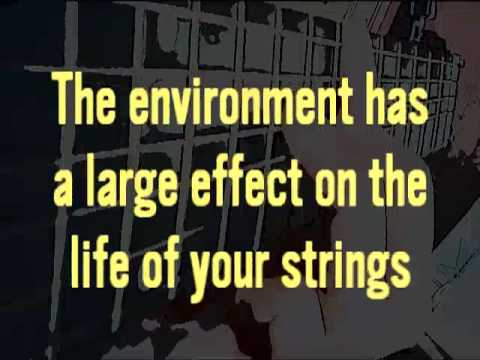 Changing Your Guitar Strings