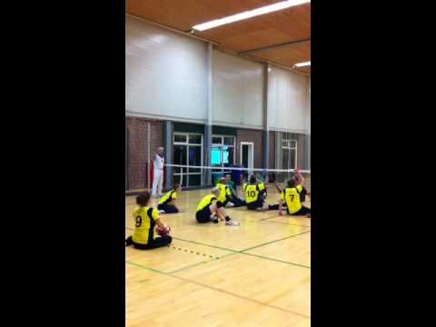 Zitvolleybal
