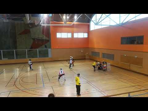 Match Roller Hockey LIONS (Auxerre) - FLASHS (Chalons) 29-10-2017