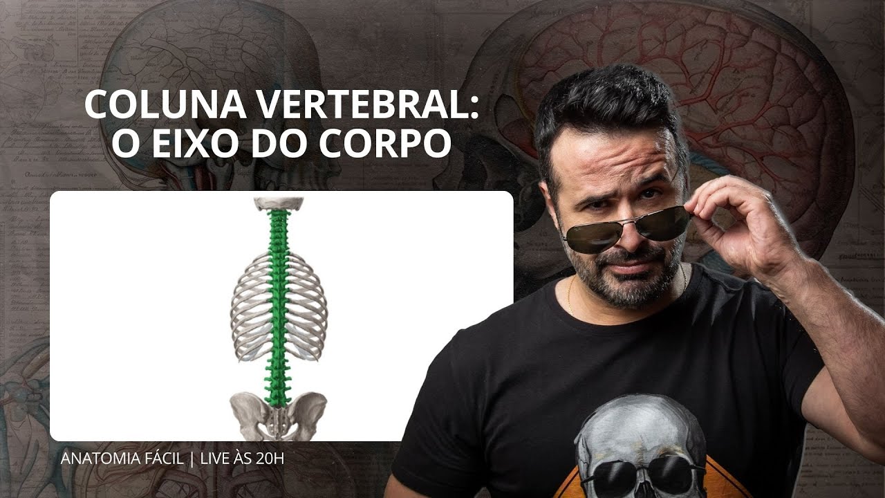 AO VIVO: COLUNA VERTEBRAL: O EIXO DO CORPO - #anatomiafacil