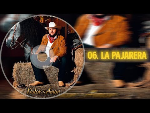 download lagu mp3 mp4 Letra La Pajarera, download lagu Letra La Pajarera gratis, unduh video klip Letra La Pajarera