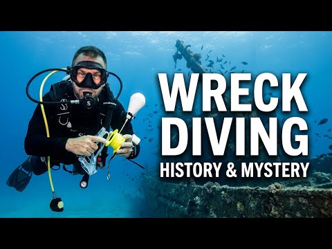 We Discovered Something Unexpected in the Shipwreck