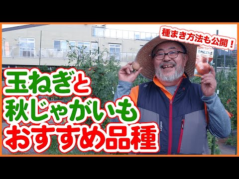 園芸 ジャガイモタマネギ