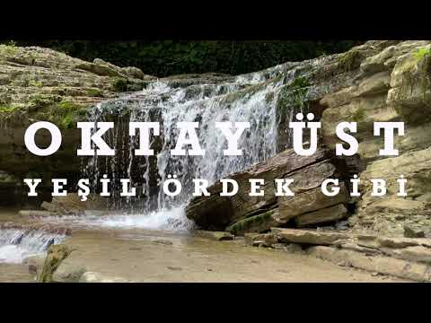 Oktay Üst - Yeşil Ördek Gibi [Aşka Düşen Divane © 2022]