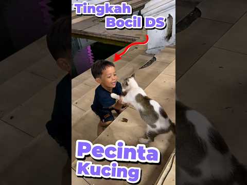 Tingkah Bocil DS pecinta Kucing #anakdesa #minivlog #comedy #kucing #makan
