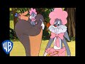 Looney Tunes Bugs The Gorilla Baby Classic Cartoon WB Kids