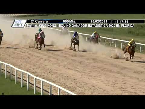 25/02/2021 – Hipodromo Florida – Carr 2 - KING KONG - EQUINO GANADOR ESTADÍSTICA 2020 EN FLORIDA