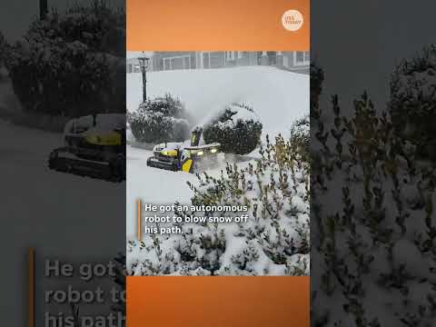 Homeowner is going viral for unique way he cleared his snowy driveway