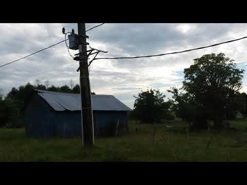 Chilcas y chingolas departamento Florida.