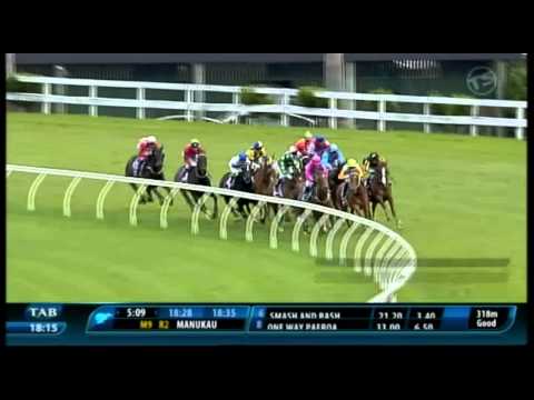 Pinzaara 4th Ellerslie 5th Nov 2013