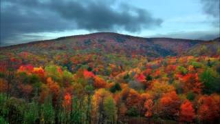 Oddisee - Belong To The World