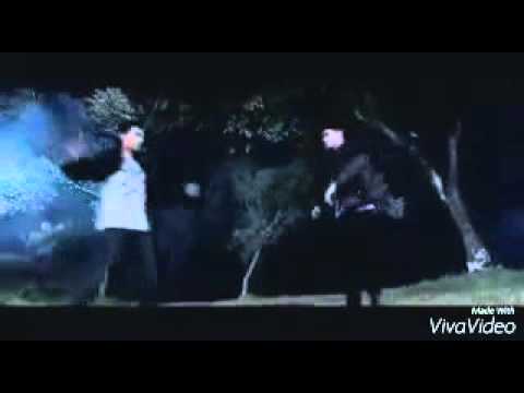 Action sepesial aliando