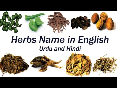Herbs name