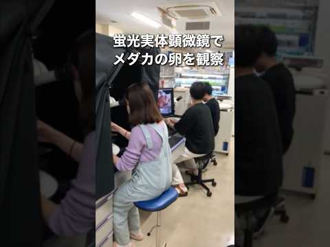 バイオデータサイエンス学科 【細胞が光る!?】ホタルの光で未来の薬を評価🧬