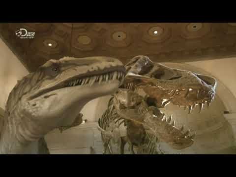 Dinosaur Revolution/Dinotasia - Acrocanthosaurus atokensis & Tenontosaurus