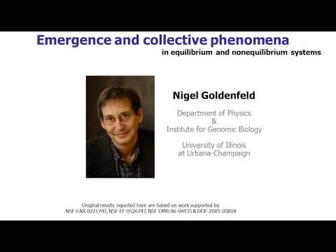 Nigel Goldenfeld tutorial on Emergence