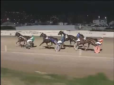 Trotto 12/01/2018 - 8ª corsa - TRIS