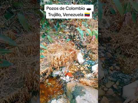 Pozos de Colombio 🕳️ El Primer Petróleo de Venezuela 🇻🇪 Escuque 💚🤍❤️ #hidrocarburo  #trujillo