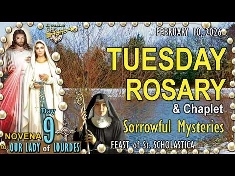 TUESDAY Rosary Today & Chaplet 🌹SORROWFUL Mysteries Holy Rosary Catholic Family Prayer