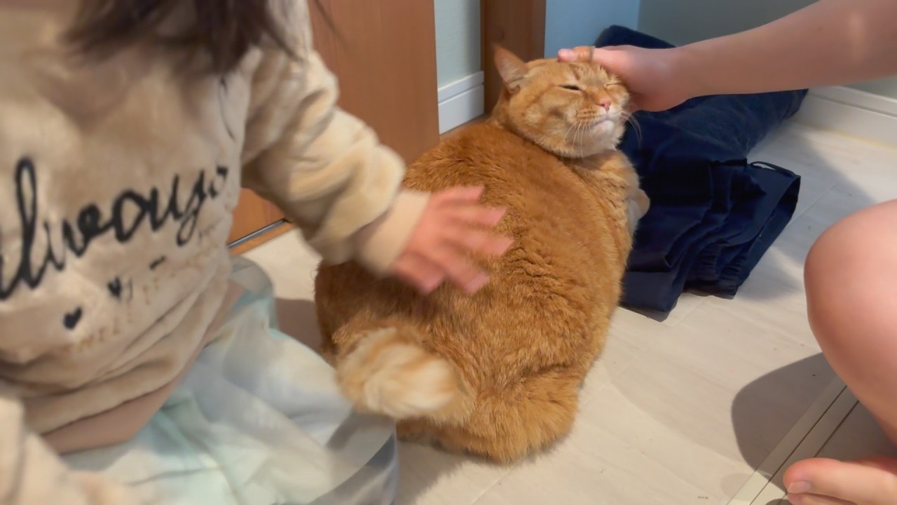 家族みんなそろったね