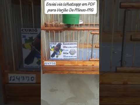 Enviei via Whatsapp em PDF para Varjão De Minas-MG