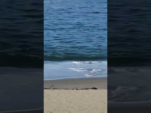 Today Fun Hitachi Naka Beach Ibaraki  Japan #shorts