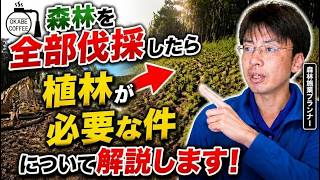 【林業】山仕事について知って欲しい「森林を全部伐採したら植林が必要な件について解説します！」植林 新植 スギ 花粉対策 ヒノキ【森林施業プランナー】#林業 #森林施業 #山仕事