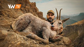 Rececho de sarrio en el Pirineo | Caza en España