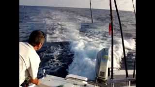 preview picture of video 'XV Campeonato de pesca de Altura 2012 CNC - Ciutadella de Menorca @Siesreal'