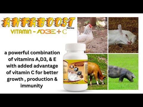 Goat multivitamin tonic (anfaboost vitamin ad3e c), horse,ca...