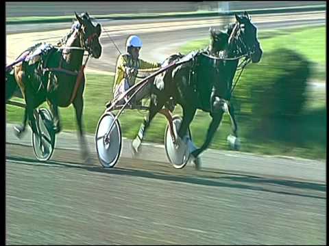 Trotto 15/04/2016 - 6° Corsa