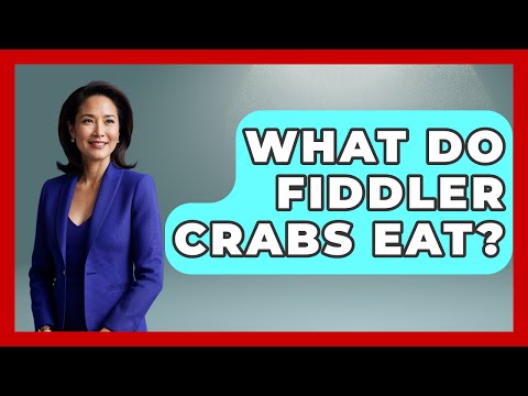What Do Fiddler Crabs Eat