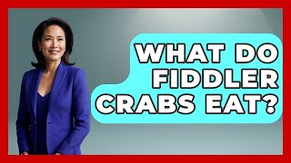 What Do Fiddler Crabs Eat - The Marine Life Explorer