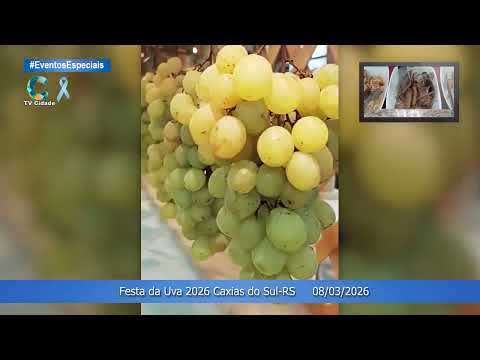 Festa da Uva 2026 Caxias do Sul - RGS -    08/03/2026