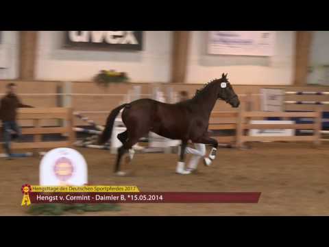 KN 64 v. Cormint - Daimler B