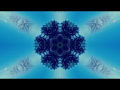 ᄿ B O R E A L I S M - GLIDER