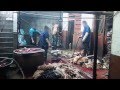 Chinese Dog-Leather Industry Exposed