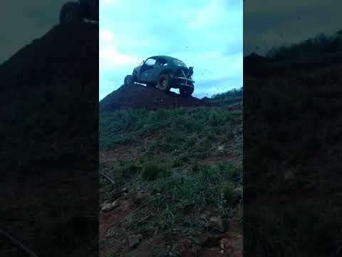 Ouro Fino trilha gaiola