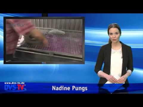 DVS-TV Nachrichten 16 (15.04.2014)