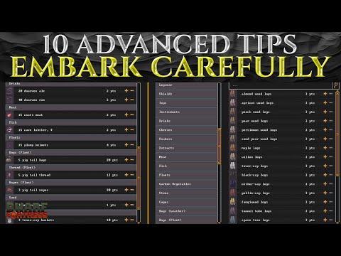 10 Pro TIPS For Embark PREPARE CAREFULLY Guide - Dwarf Fortress