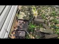 Brick Pavers Hiding Large Ant Nest in Trenton, NJ