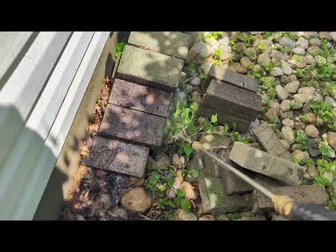Brick Pavers Hiding Large Ant Nest in Trenton, NJ