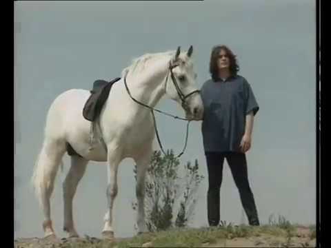 NAJBOLJI HRVATSKI TAMBURAŠI - Danijela (OFFICIAL VIDEO)