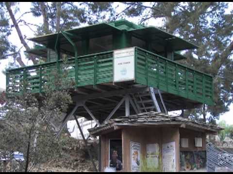 TLC 2011 Final YouTube sharing