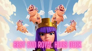 New Evo Royal Hogs and Archer Queen | Best  Evo Royal Hogs deck | #clashroyale 
