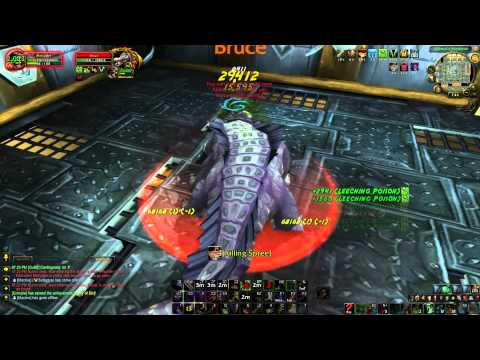 Brawlers Guild: Mini Guide with Merc!