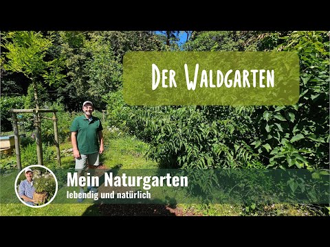 Rundgang Waldgarten im Naturgarten 🌳