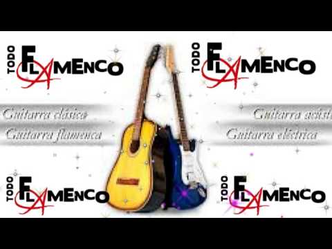 Los Hernandez - Rumba gitana 2015